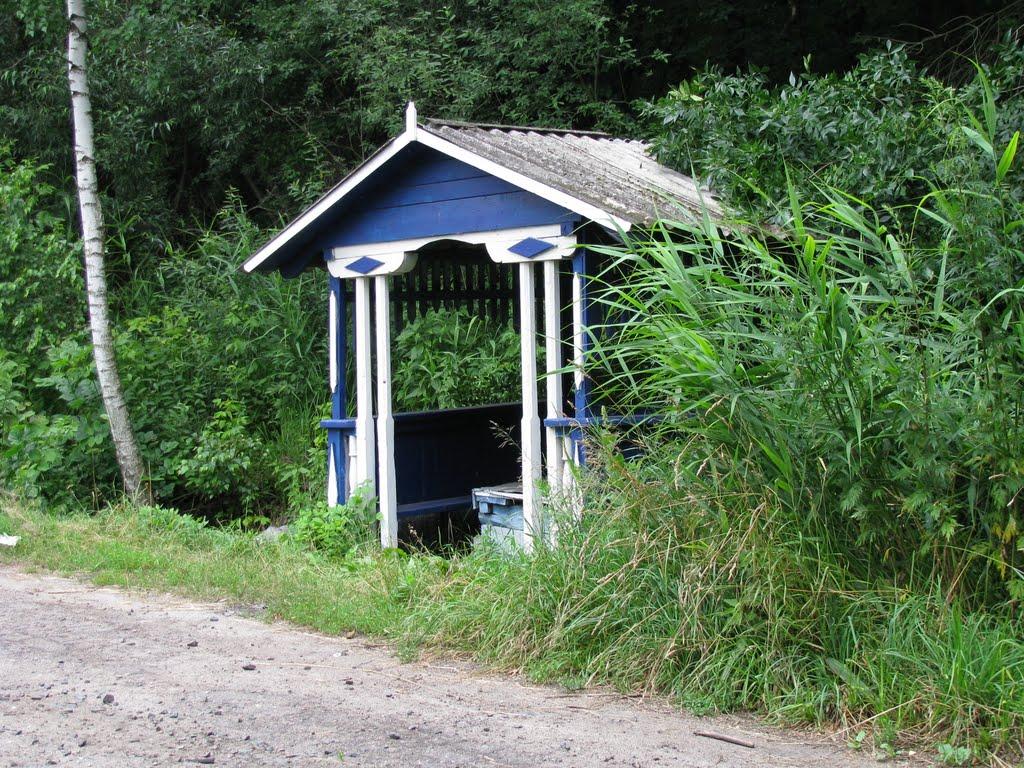 Лютенські Будища з panoramio.com - Лютенські Будища