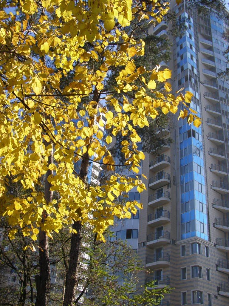 Петропавлівська Борщагівк з panoramio.com - Петропавловская Борщаговк