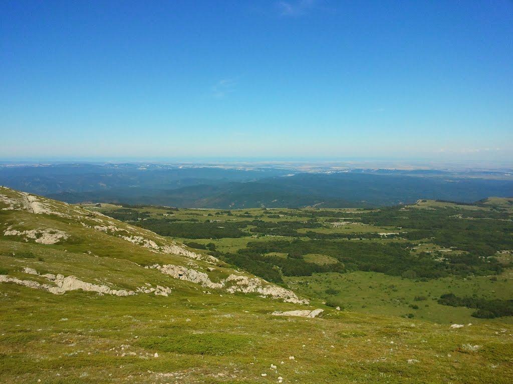 Лаванда з panoramio.com (ч.2) - Лаванда