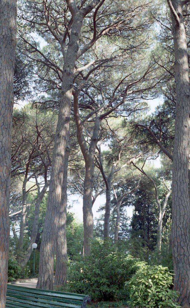 Утьос з panoramio.com - Утьос