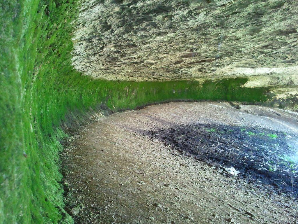 Біла Скеля з panoramio.com - Белая Скала