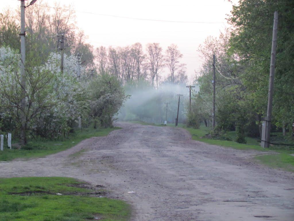 Дубовий Гай з panoramio.com - Дубовый Гай
