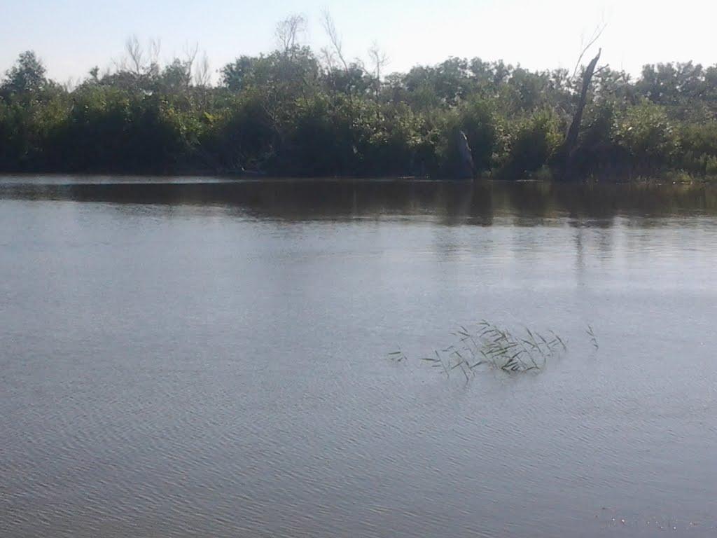 Бараниківка з panoramio.com - Бараниківка