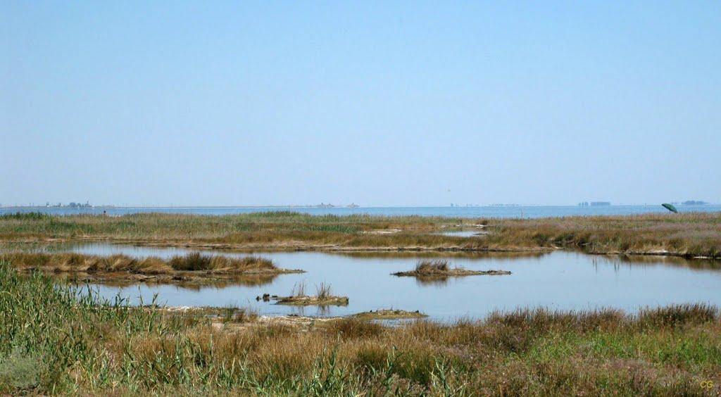 Скадовськ з panoramio.com - Скадовск