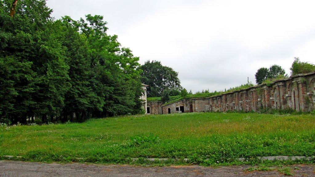 Броди з panoramio.com - Броды
