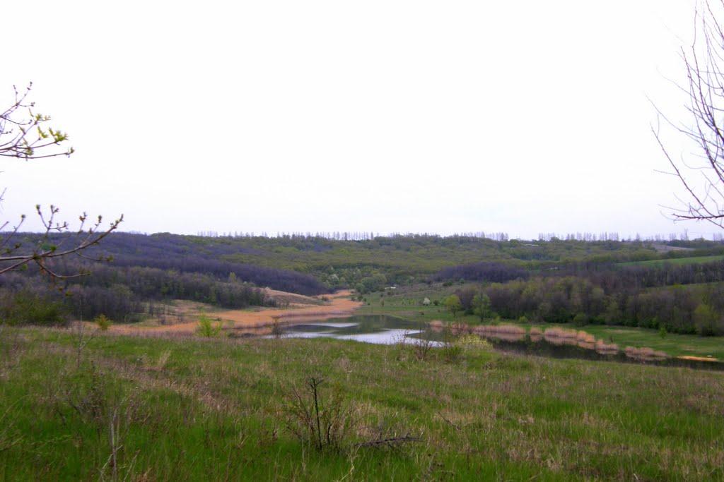 Адамівка з panoramio.com - Адамівка