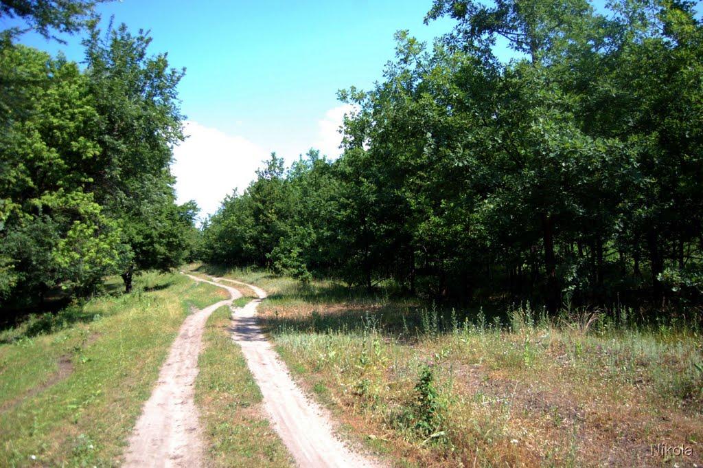 Кремінна з panoramio.com - Кремінна