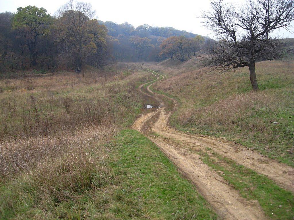 Ящикове з panoramio.com - Ящикове