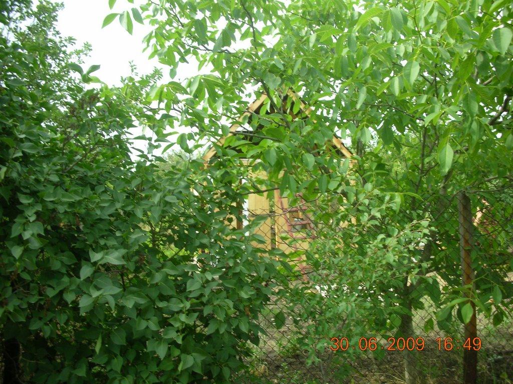 Єгорівка з panoramio.com - Єгорівка