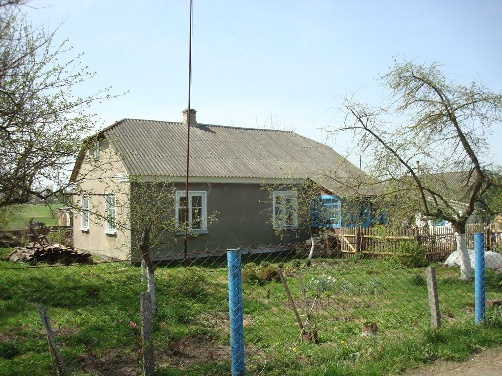 Дроздні з panoramio.com - Дроздні