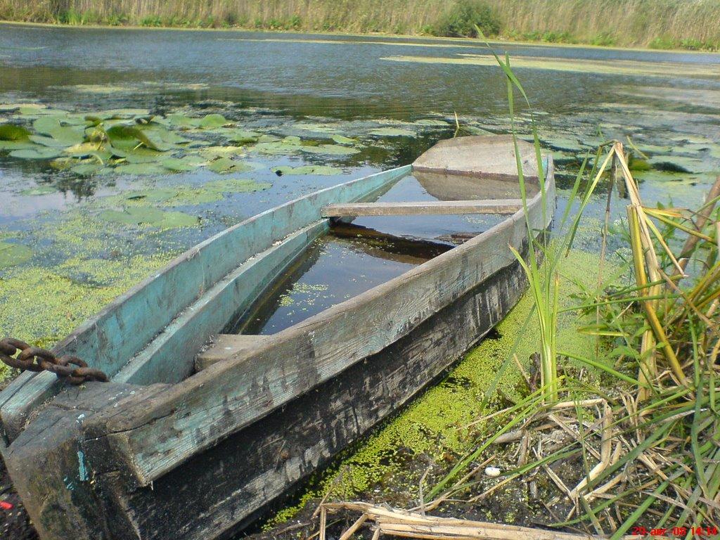 Ковалівка з panoramio.com - Ковалівка