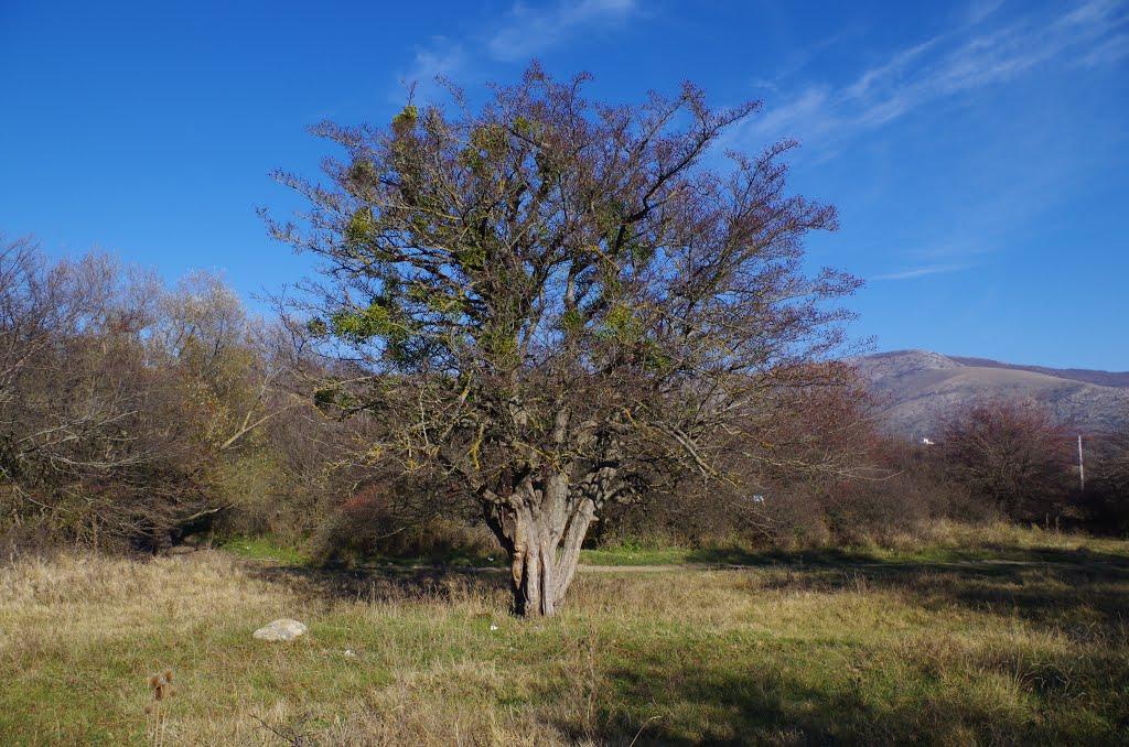 Перевальне з panoramio.com - Perevalne