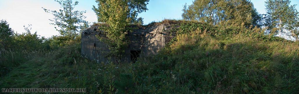 Великі Макари з panoramio.com - Великі Макари