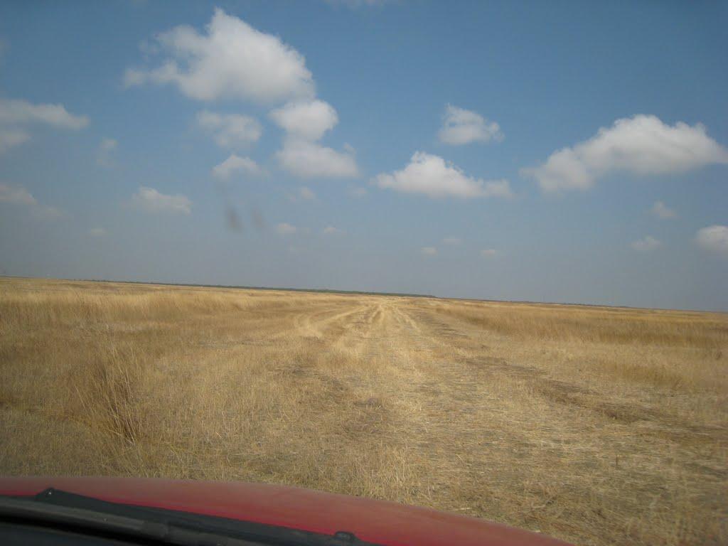 Вулканівка з panoramio.com - Вулканівка