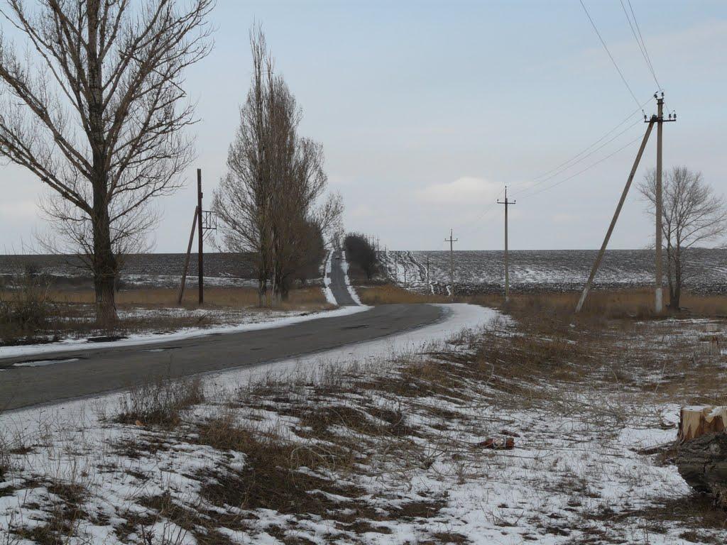 Новозар'ївка з panoramio.com - Новозар'ївка