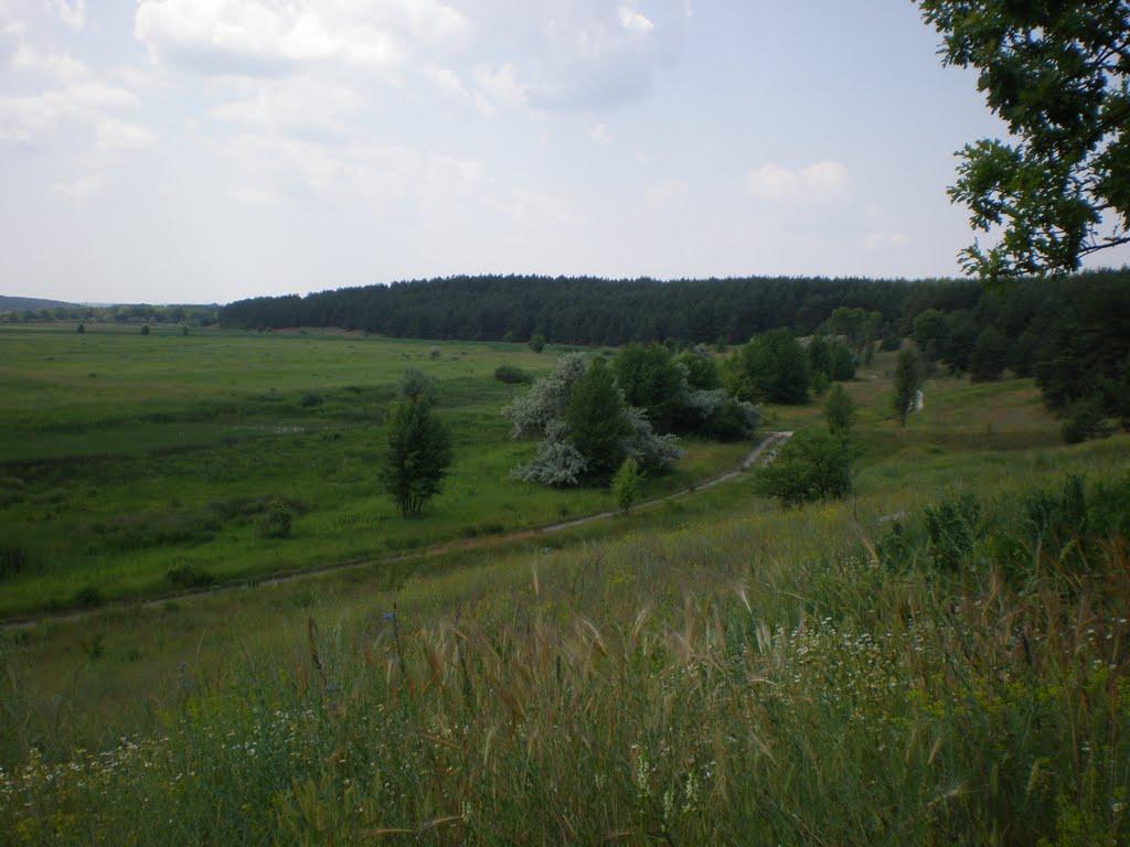 Новоселівка з panoramio.com - Новоселівка