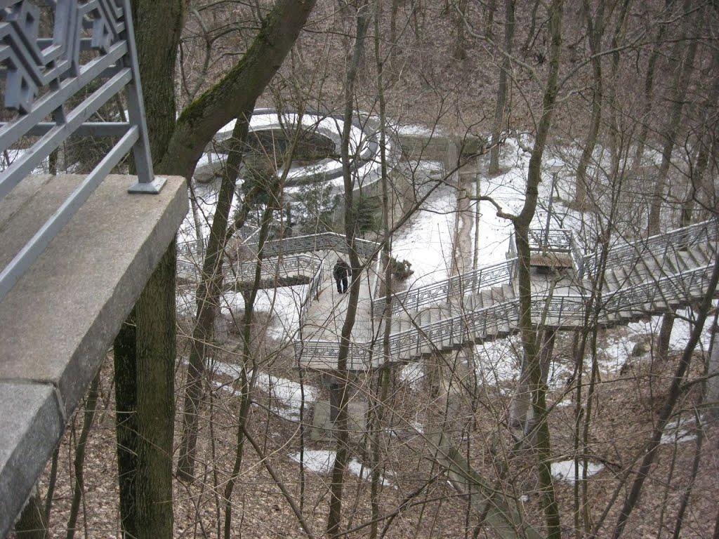 Пекарі з panoramio.com - Пекари