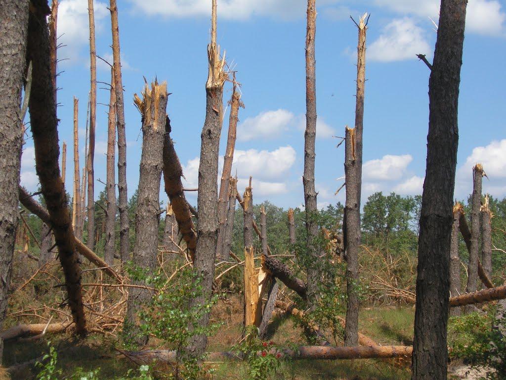 Жолдаки з panoramio.com - Жолдаки
