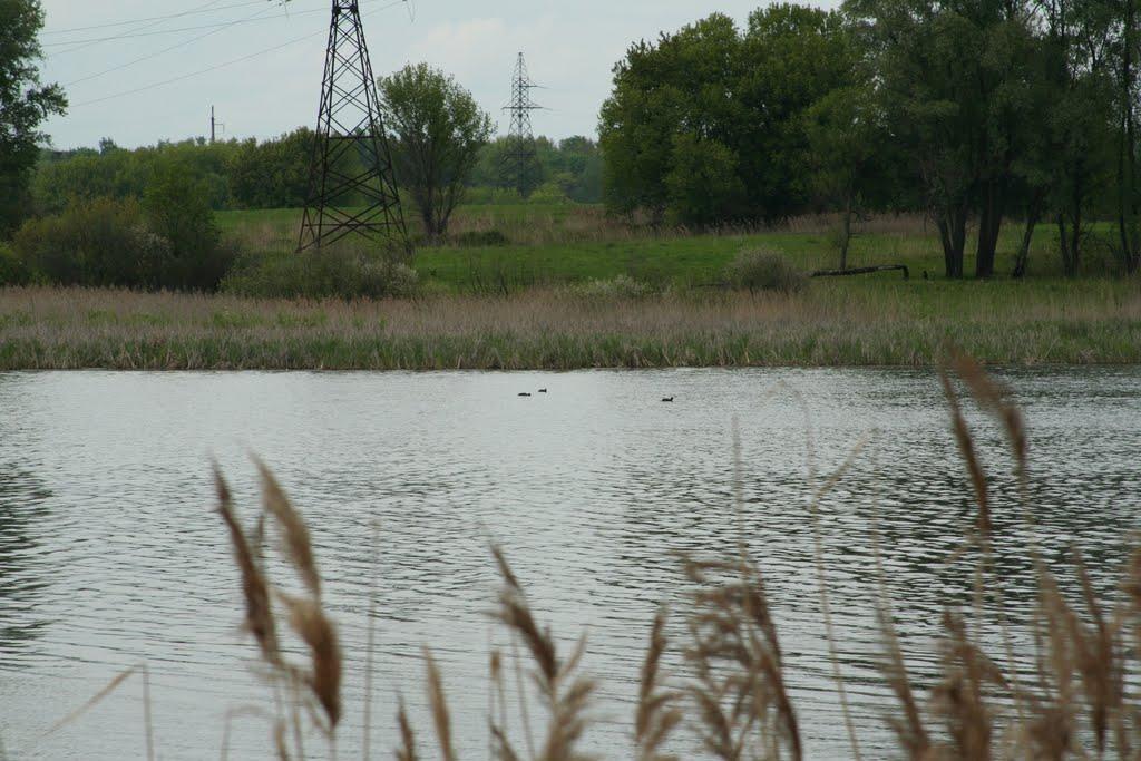 Косівщина з panoramio.com - Kosivschyna