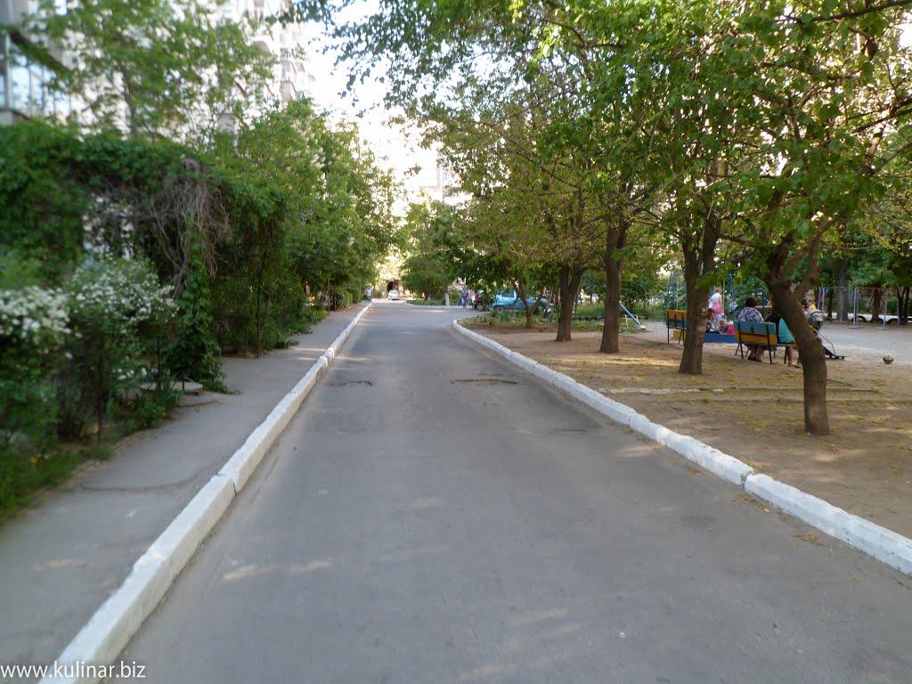 Мелітополь з panoramio.com (ч.2) - Мелитополь