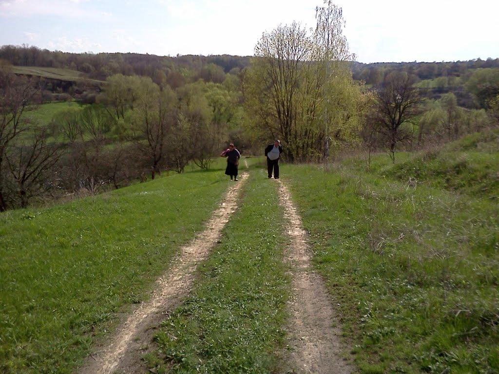 Сухоносівка з panoramio.com - Сухоносівка