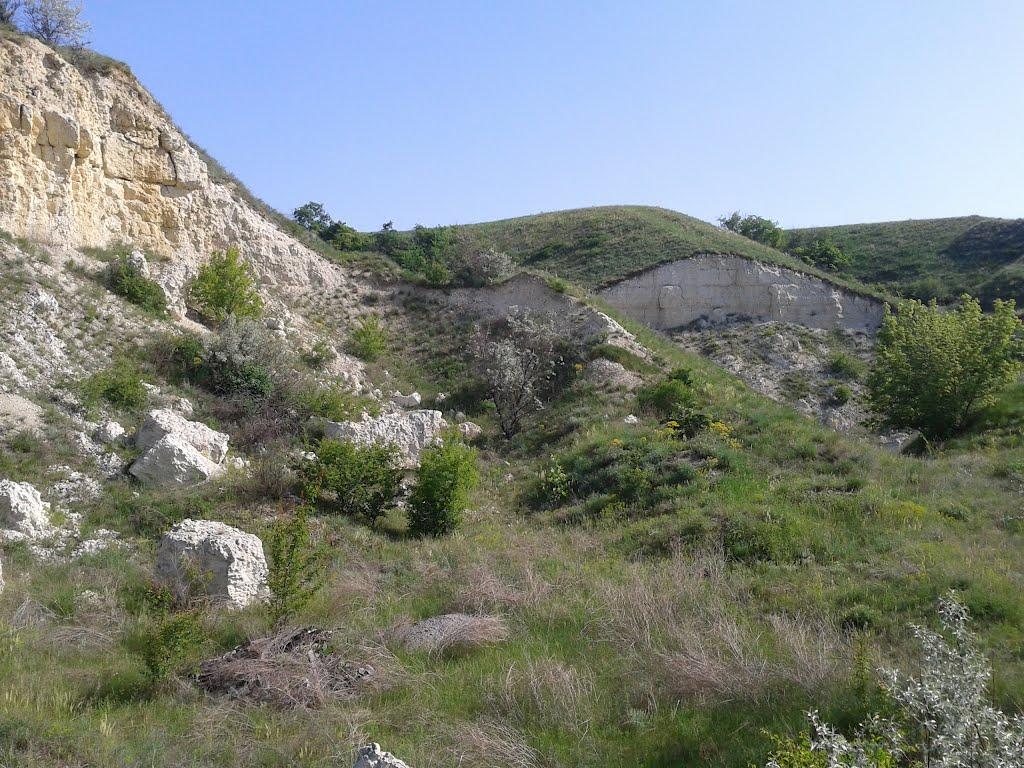 Челюскінець з panoramio.com - Челюскінець