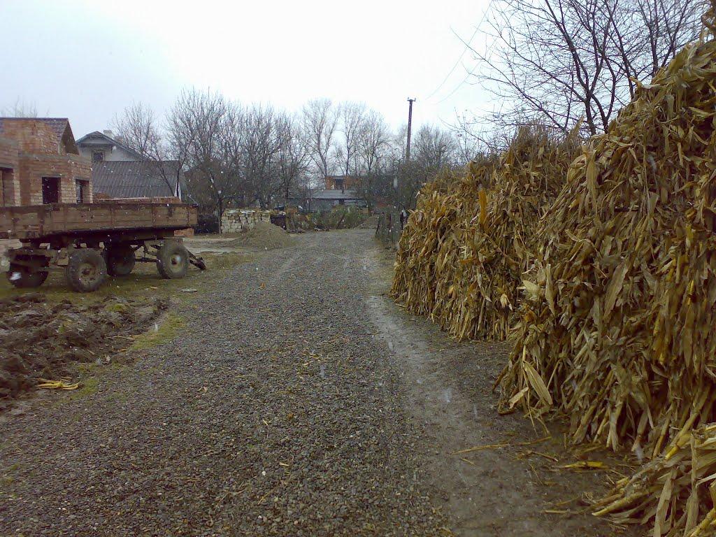 Неполоківці з panoramio.com - Неполоківці