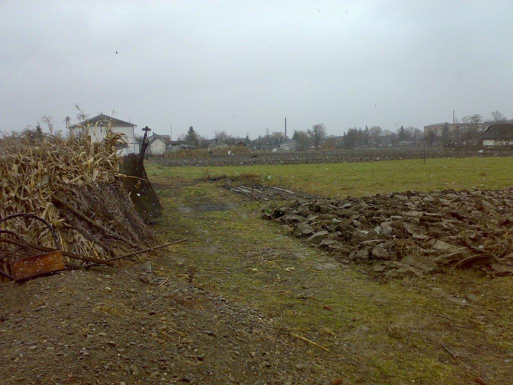 Неполоківці з panoramio.com - Неполоківці