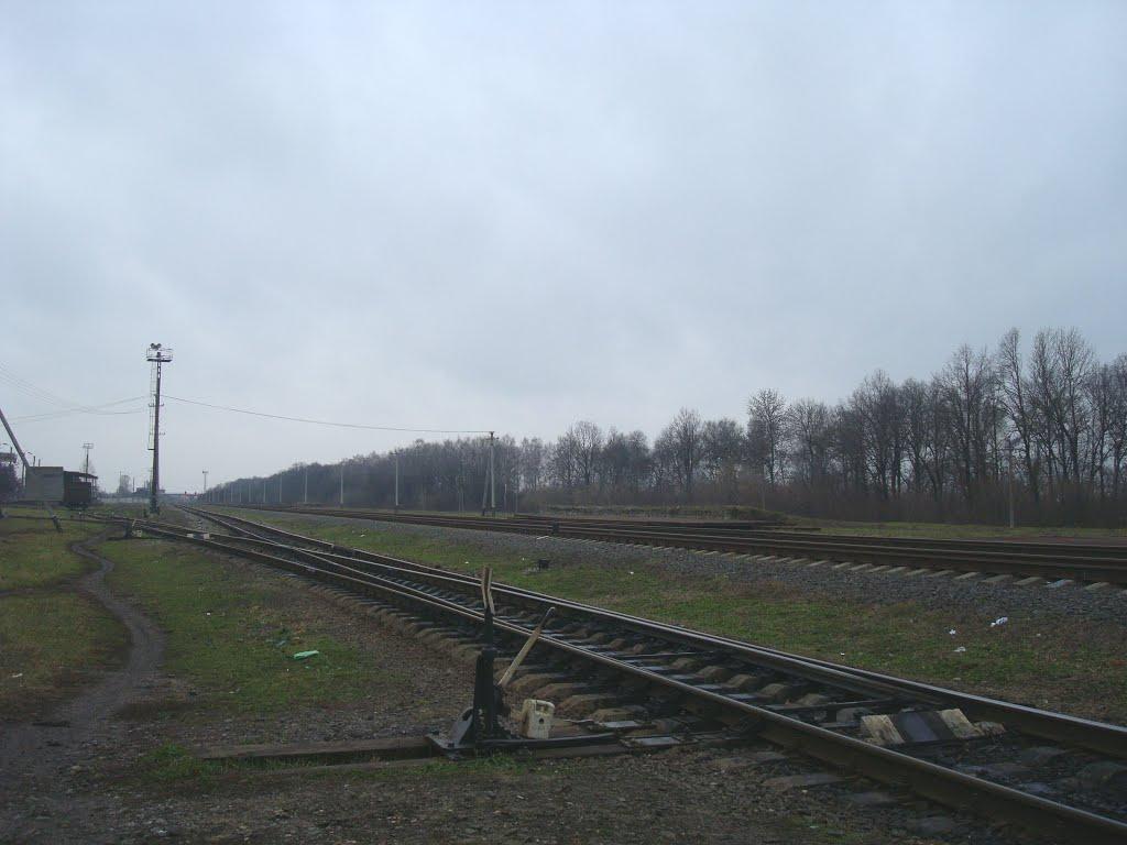Пашківці з panoramio.com - Пашковцы