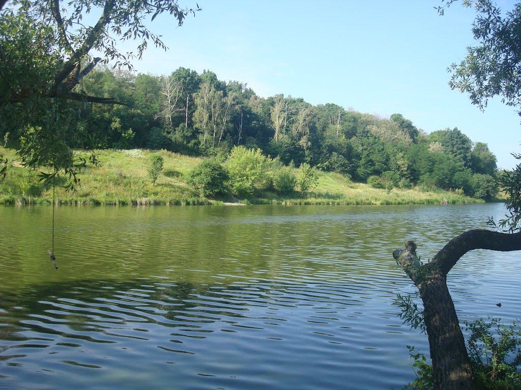 Полянецьке з panoramio.com - Полянецьке