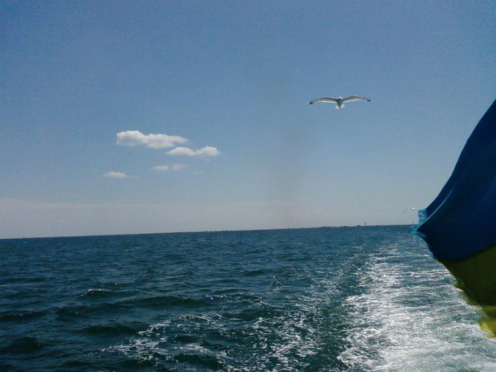 Скадовськ з panoramio.com - Скадовск