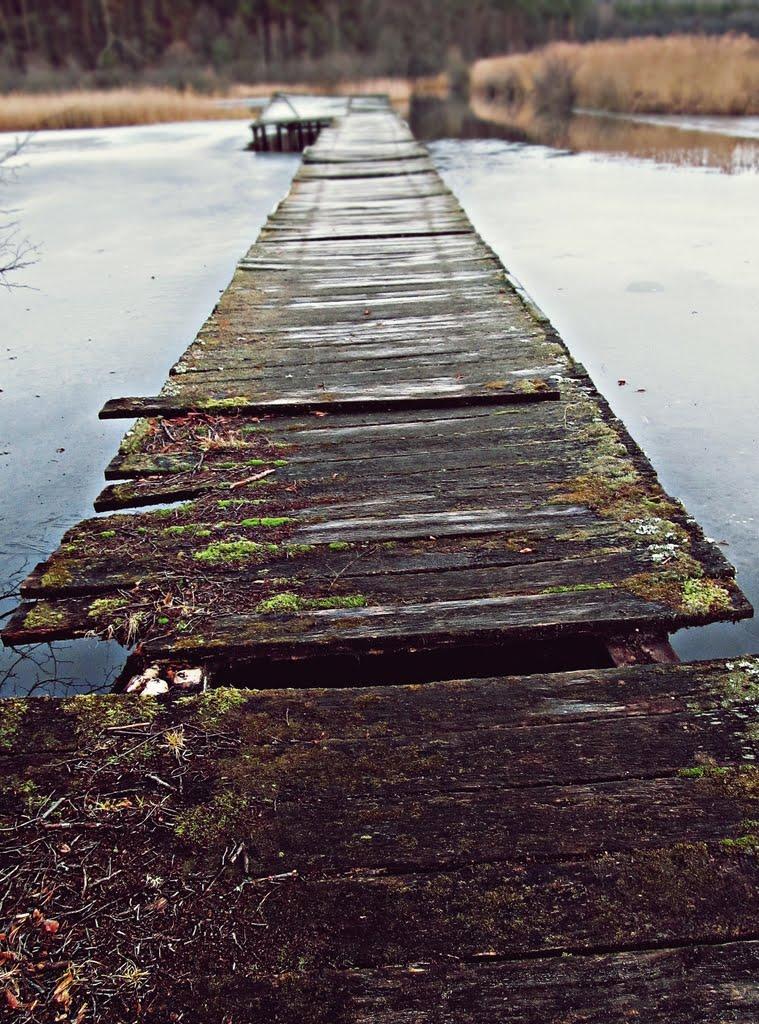 Верещиця з panoramio.com - Верещиця