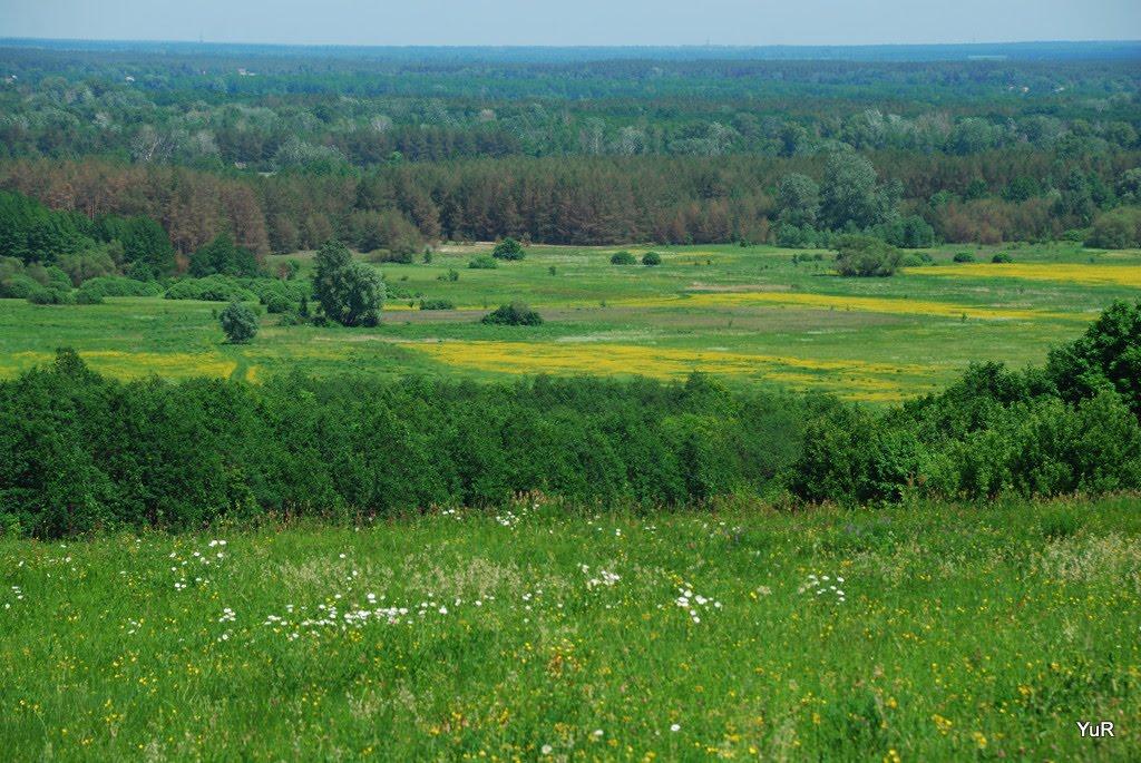 Опішня з panoramio.com - Опішня