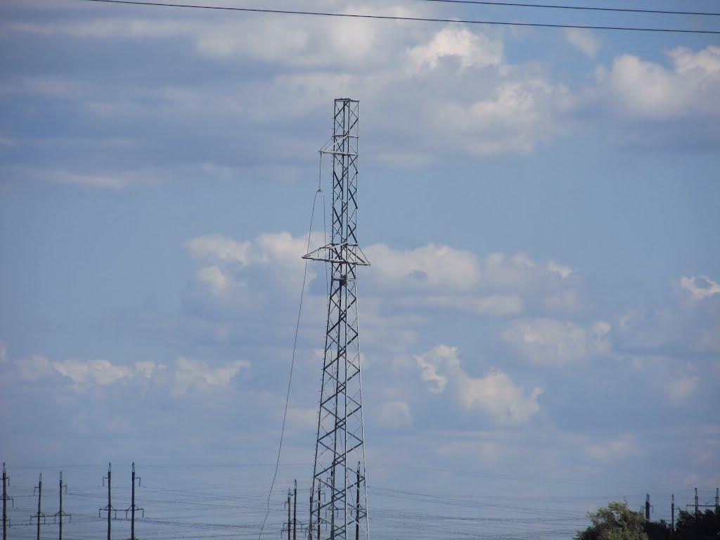 Кияшки з panoramio.com - Кияшки