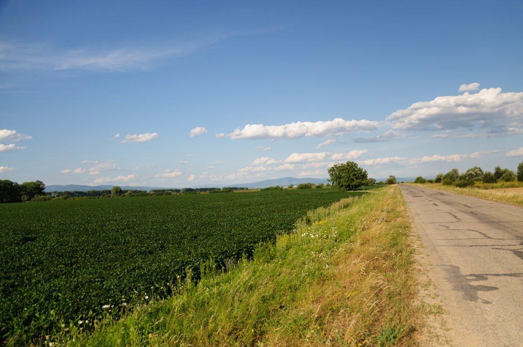 Палло з panoramio.com - Палло