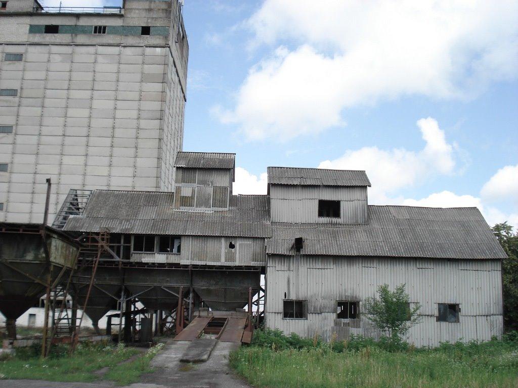 Ракошино з panoramio.com - Ракошино