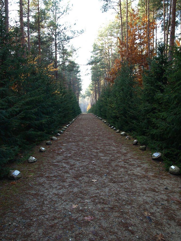 Кошари з panoramio.com - Кошари