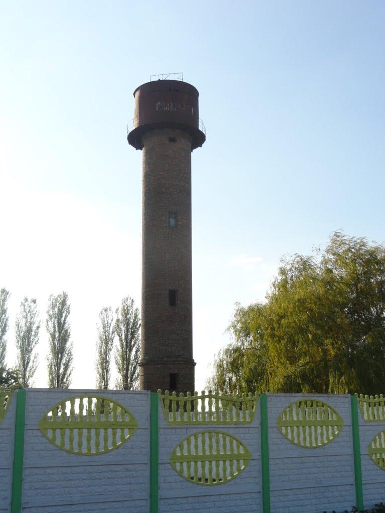 Голоби з panoramio.com - Голоби