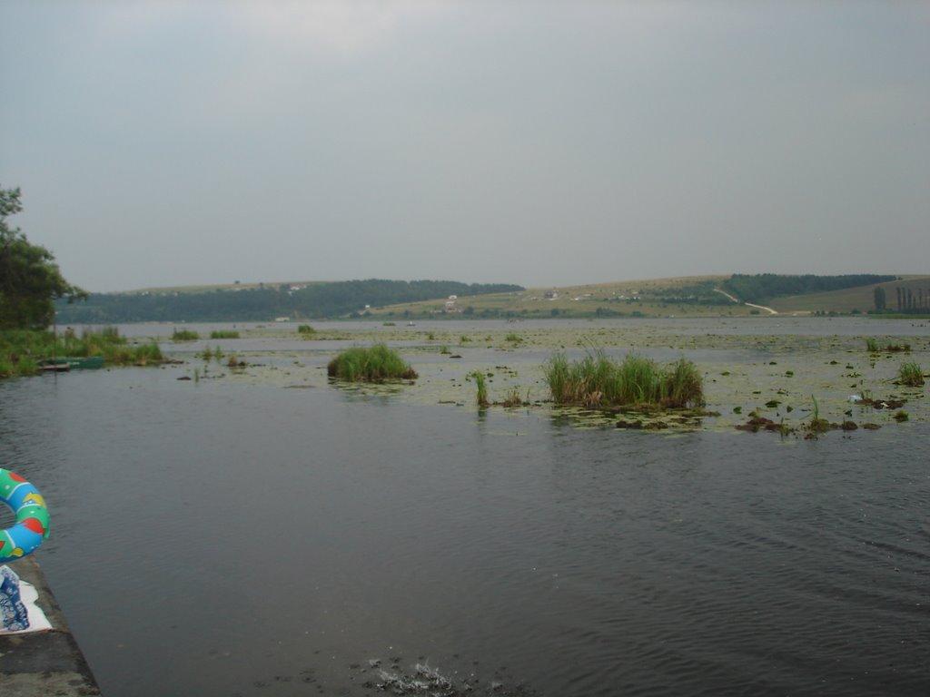 Малашівці з panoramio.com - Malashivtsi