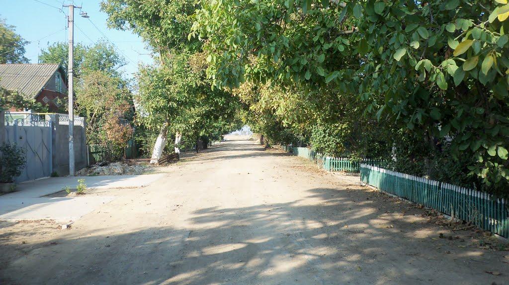 Роздольне з panoramio.com - Роздольне