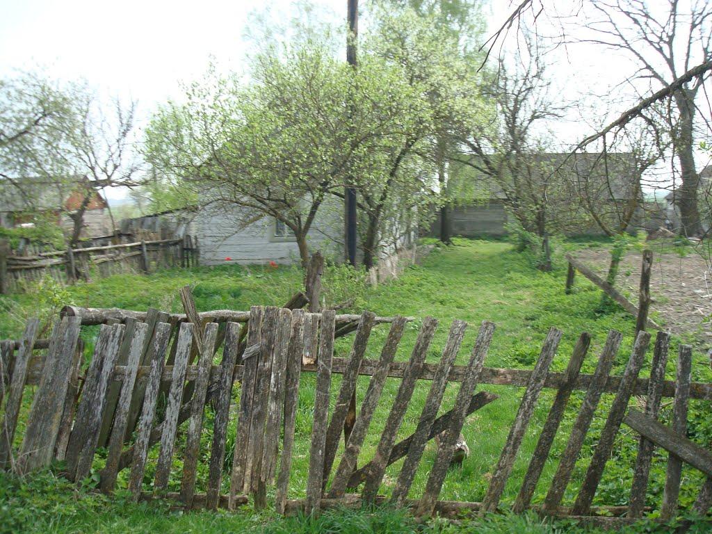 Дроздні з panoramio.com - Дроздні