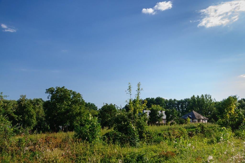 Розівка з panoramio.com (ч.2) - Розівка