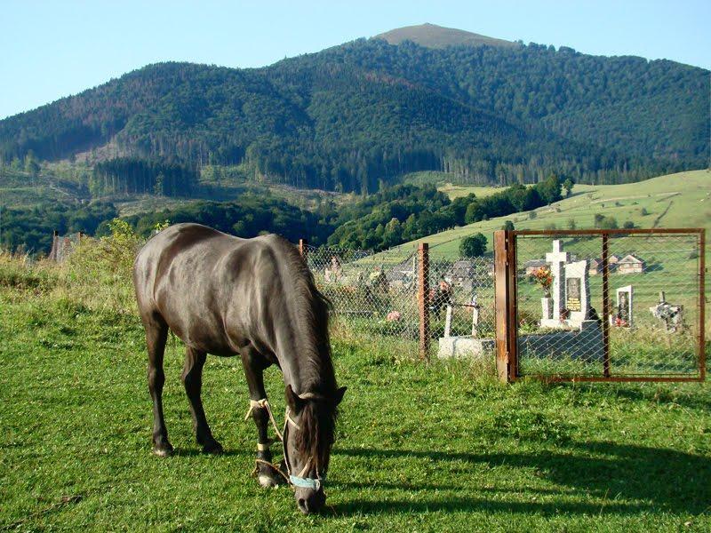 Воловець з panoramio.com - Воловец