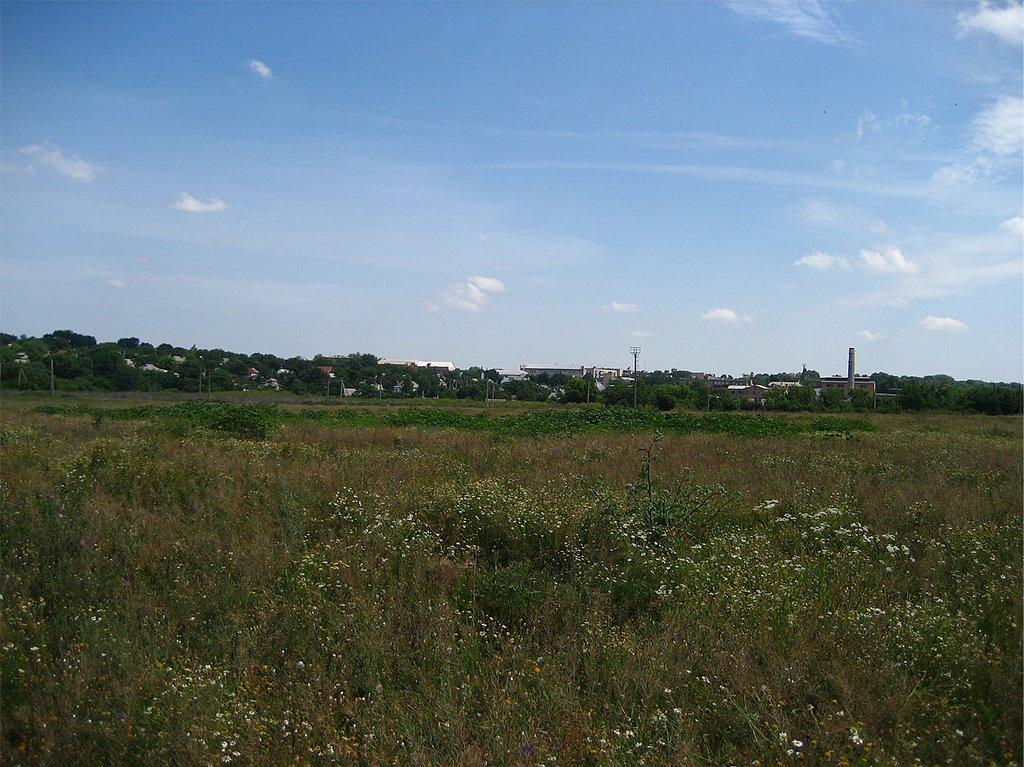 Кам'янка з panoramio.com - Каменка