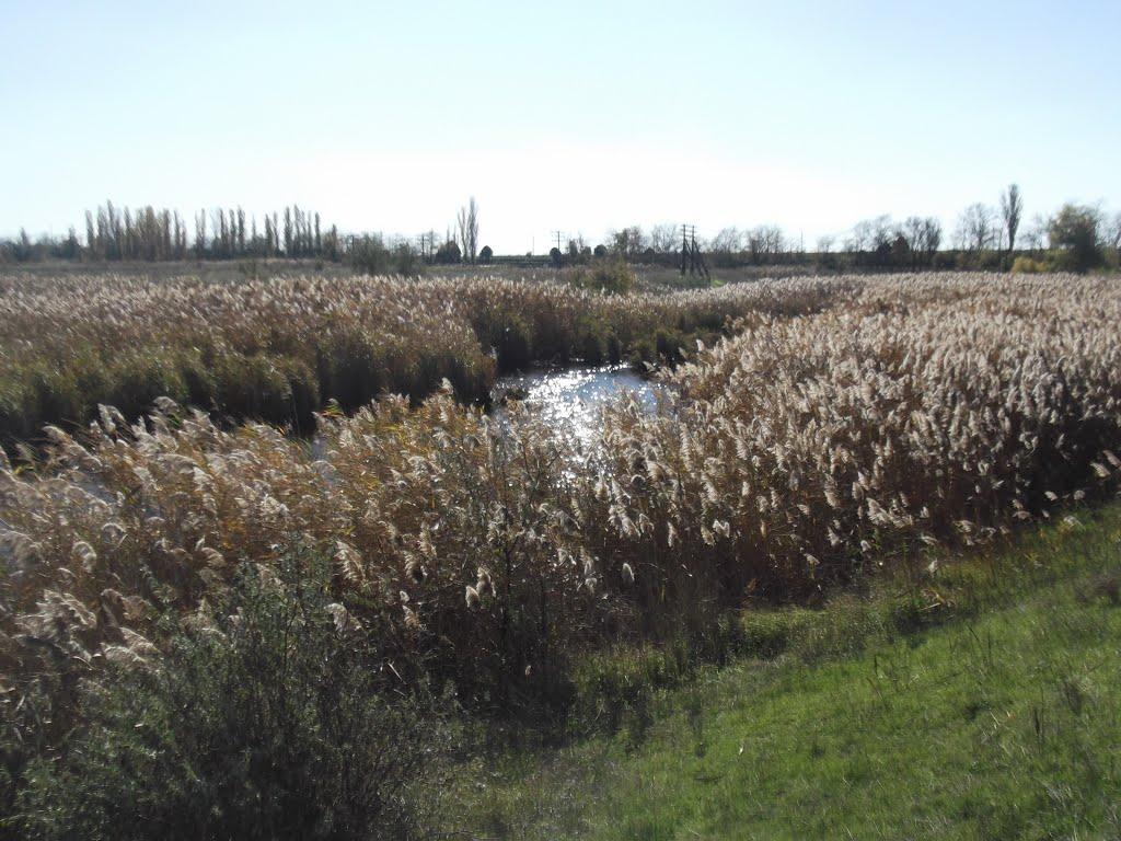 Тарасівка з panoramio.com - Тарасівка