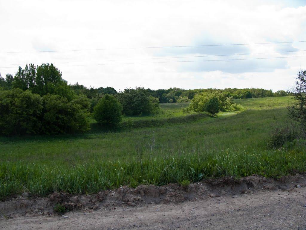 Григорівка з panoramio.com - Григоровка