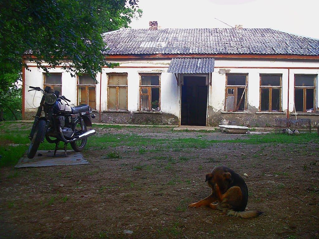 Краснолісся з panoramio.com - Краснолесье