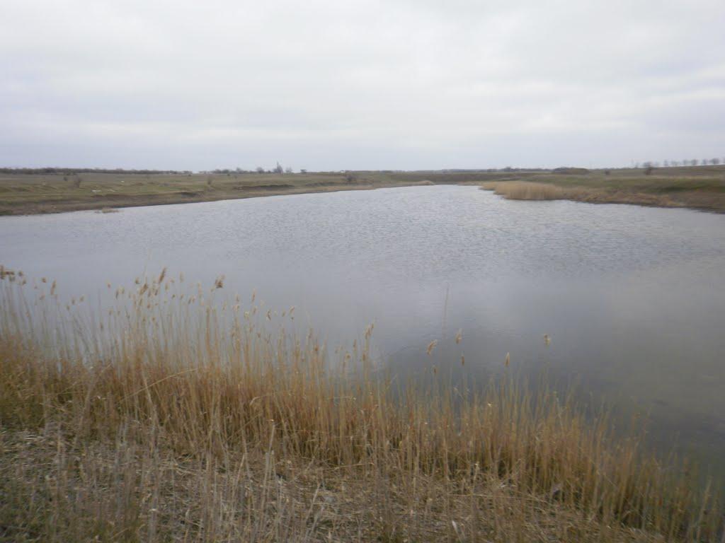 Новий Гребеник з panoramio.com - Новый Гребеник