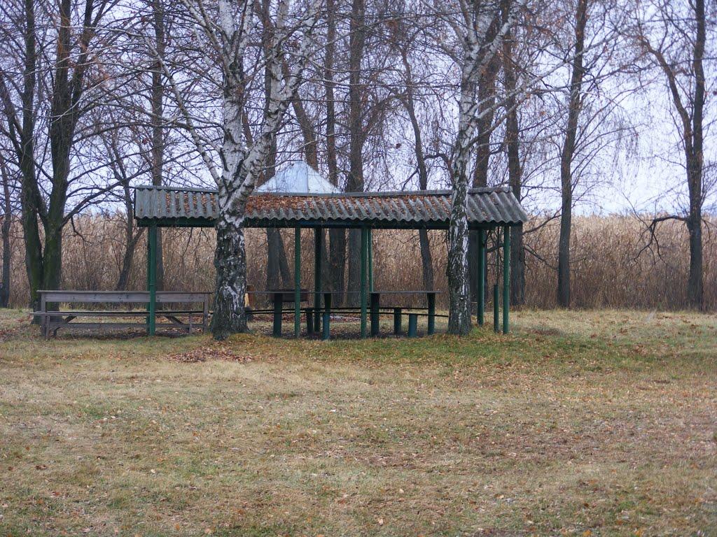 Сорокотяга з panoramio.com - Сорокотяга