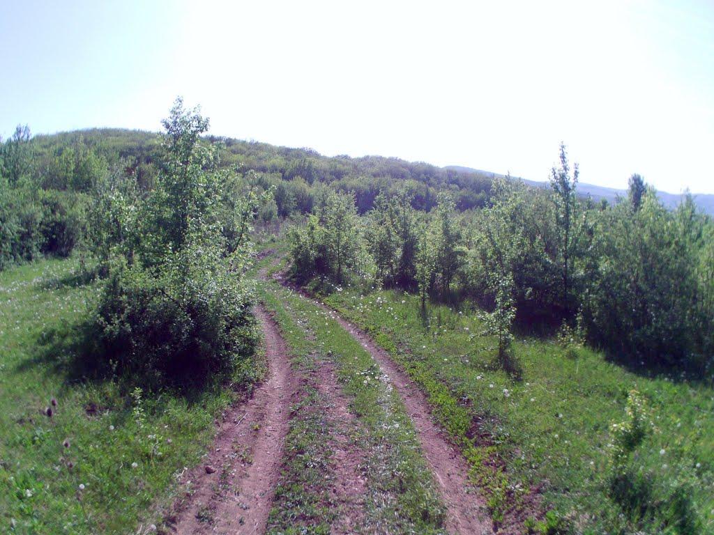 Голованівка з panoramio.com - Голованівка